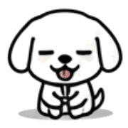 003