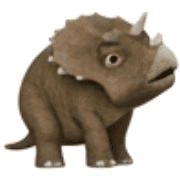021