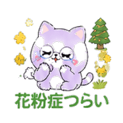 029