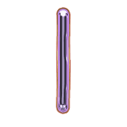 242