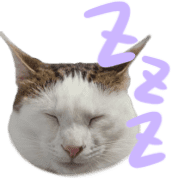 002