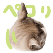 003