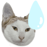 021