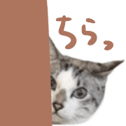 032