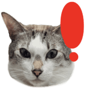 035