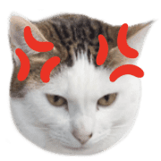 036