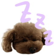 027