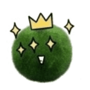 005