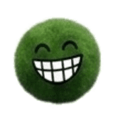006