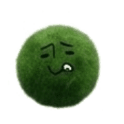 010