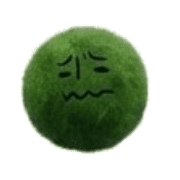 017