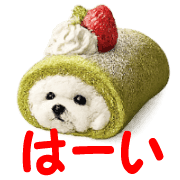 010