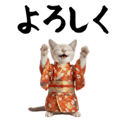 003