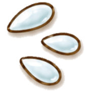 020