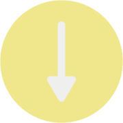 261