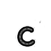 029