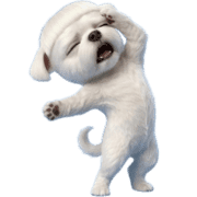 020
