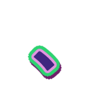 256