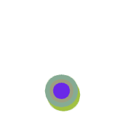 246
