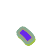 256
