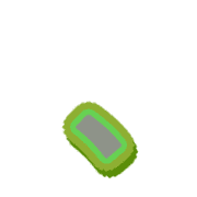 256