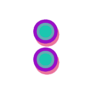 244