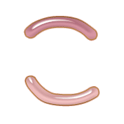 010