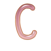 164