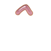 231