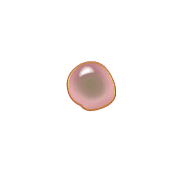 253