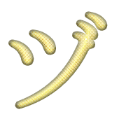 148