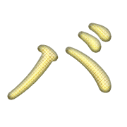 151