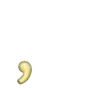 245