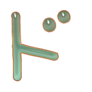150