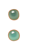 244