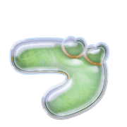 068