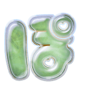 080