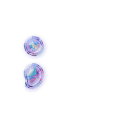 243