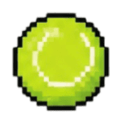 005