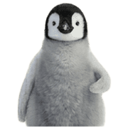 013