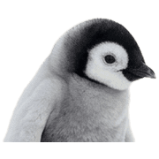 031