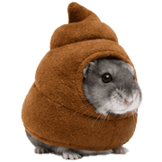 016