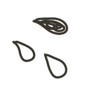 037