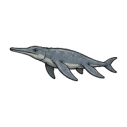 007