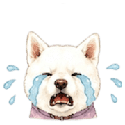 017