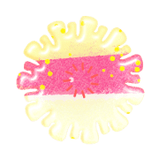 003