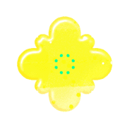 019