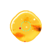 036