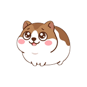 010