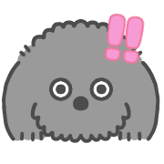 008